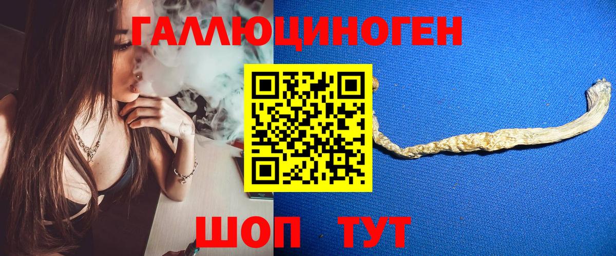 Псилоцибиновые грибы Psilocybine cubensis Заринск