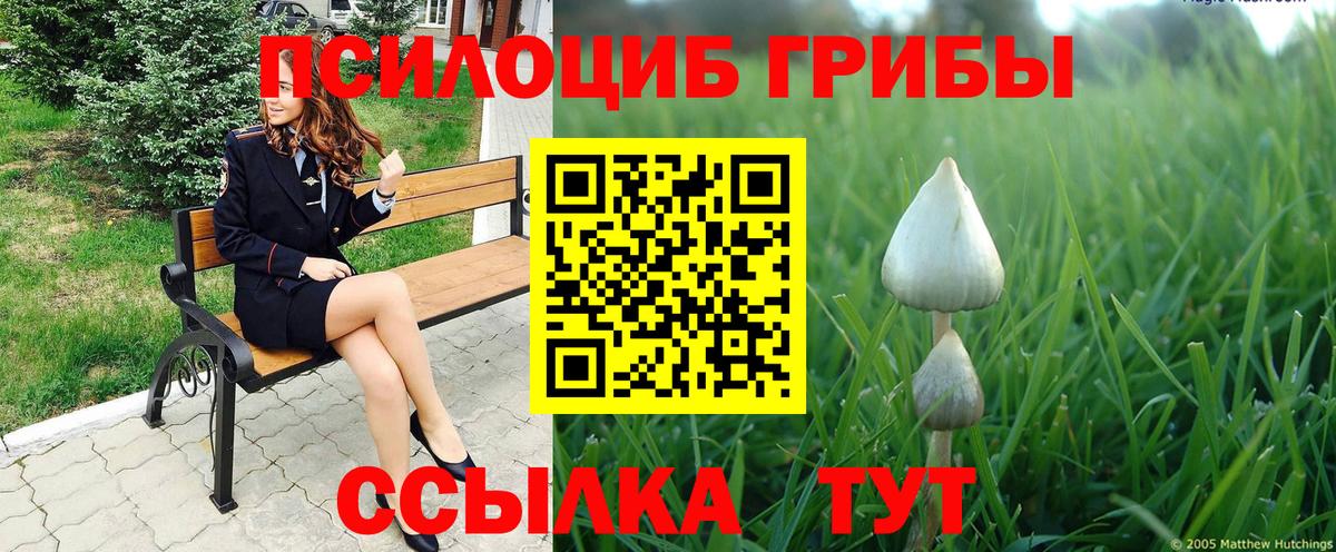 Псилоцибиновые грибы Psilocybe  Псилоцибиновые грибы мицелий  Вход с VPN  купить наркотик  Заринск 